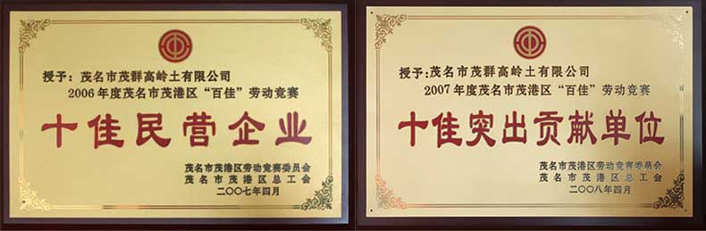 十佳民营企业        十佳突出贡献企业.jpg